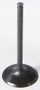 Black Diamond Intake Valve