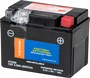 Battery Ctz5s Sealed Factory Activated