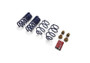 Ford Racing 15-19 Mustang (w/o MagneRide) Street Lowering Spring Kit