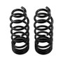 ARB / OME Coil Spring Rear Everest