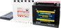 Battery Ctx19l-bs Maintenance Free