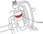 SPC Performance BALLJOINT (1.5 deg.)