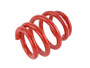 Skunk2 Universal Race Spring (Elliptical) - 6 in.L - 2.5 in.ID - 14kg/mm (0600.250.014E)