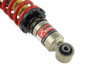 Skunk2 01-05 Honda Civic (All Models) Pro S II Coilovers (10K/10K Spring Rates)