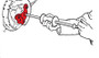 SPC Performance YOKE FOR 499