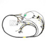 Rywire Honda F/H-Series Mil-Spec Engine Harness w/OBD2 Dist/Inj/Alt & OBD1 92-95 Plugs (Adapter Req)