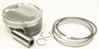 Piston Kit Armorglide 99.00/std 10.2:1 Pol