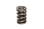 COMP Cams Valve Spring 1.550in 2 Spring