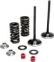 Intake Valve Spring Kit