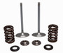 Ss Intake Valve/spring Kit