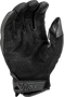 WP476-4126M_7.png