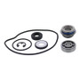 Vertex Gaskets 2017 Arctic Cat ZR 5000 Water Pump Rebuild Kit