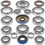 QuadBoss 14-16 Polaris ACE 325 Transaxle Bearing Kit