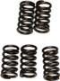Clutch Springs Csk78