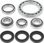 QuadBoss 01-02 Arctic Cat 250 4x4 Front Differential Bearing & Seal Kit