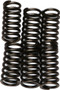 Clutch Springs Csk99