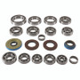 QuadBoss 17-19 Polaris ACE 500 Transaxle Bearing Kit