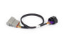 Haltech NEXUS Rebel LS 8-Pin DBW Adaptor
