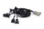 Haltech NEXUS Rebel LS EV1 Injector Sub-Harness