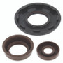 QuadBoss 05-09 Polaris Ranger 700 4x4 Oil Seal Set