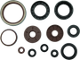 QuadBoss 09-10 Arctic Cat 1000 TRV Oil Seal Set