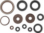 QuadBoss 09-10 Arctic Cat 1000 TRV Oil Seal Set