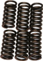 Clutch Springs Csk9