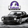 Yukon Gear 8.8in Ford 3.27 Rear Ring & Pinion Install Kit 2.25in OD Axle Bearings and Seals