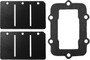 Reed Valve Rebuild Kit S-d