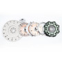 BLOX Racing Honda D-Series Twin Disc Clutch 7.25in Sprung by Edel for BLOX Racing