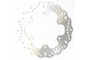 EBC 99-02 Yamaha YZF 600 R6 Rear Left Contour Profile Rotor