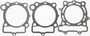 Race Gasket Kit Kaw