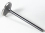 Black Diamond Intake Valve
