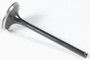 Black Diamond Exhaust Valve