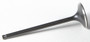 Black Diamond Intake Valve