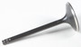 Black Diamond Intake Valve