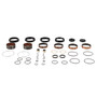 Seal/bushing Kit Forks