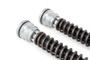 Ohlins 12-14 Ducati 1199 Panigale S (Ohlins FG 925) FKR 100 Cartridge Kit