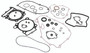Complete Gasket Set With Oil Seals Kaw