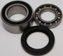 Chain Case Bearing & Seal Kit