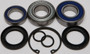 Jack Shaft Bearing & Seal Kit