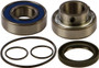 Chain Case Bearing & Seal Kit