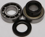 Chain Case Bearing & Seal Kit