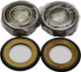 Steering Bearing/seal Kit