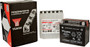 Battery Ytx12-bs Maintenance Free