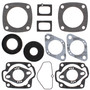 Gasket Kit-rotx 343fc 72-75
