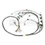 Rywire Honda K24 Mil-Spec Harness w/K24 Knock/Crank Sensor (D/S Only / Note Injectors/VSS on PO)