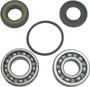 Pump Repair Kit Yam Vx1100 '05-08