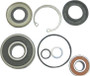 Pump Repair Kit Kaw