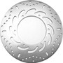 Standard Brake Rotor